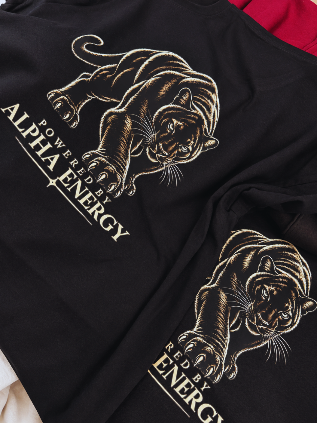 Powered by Alpha Energy Hoodie – Black / Charcoal