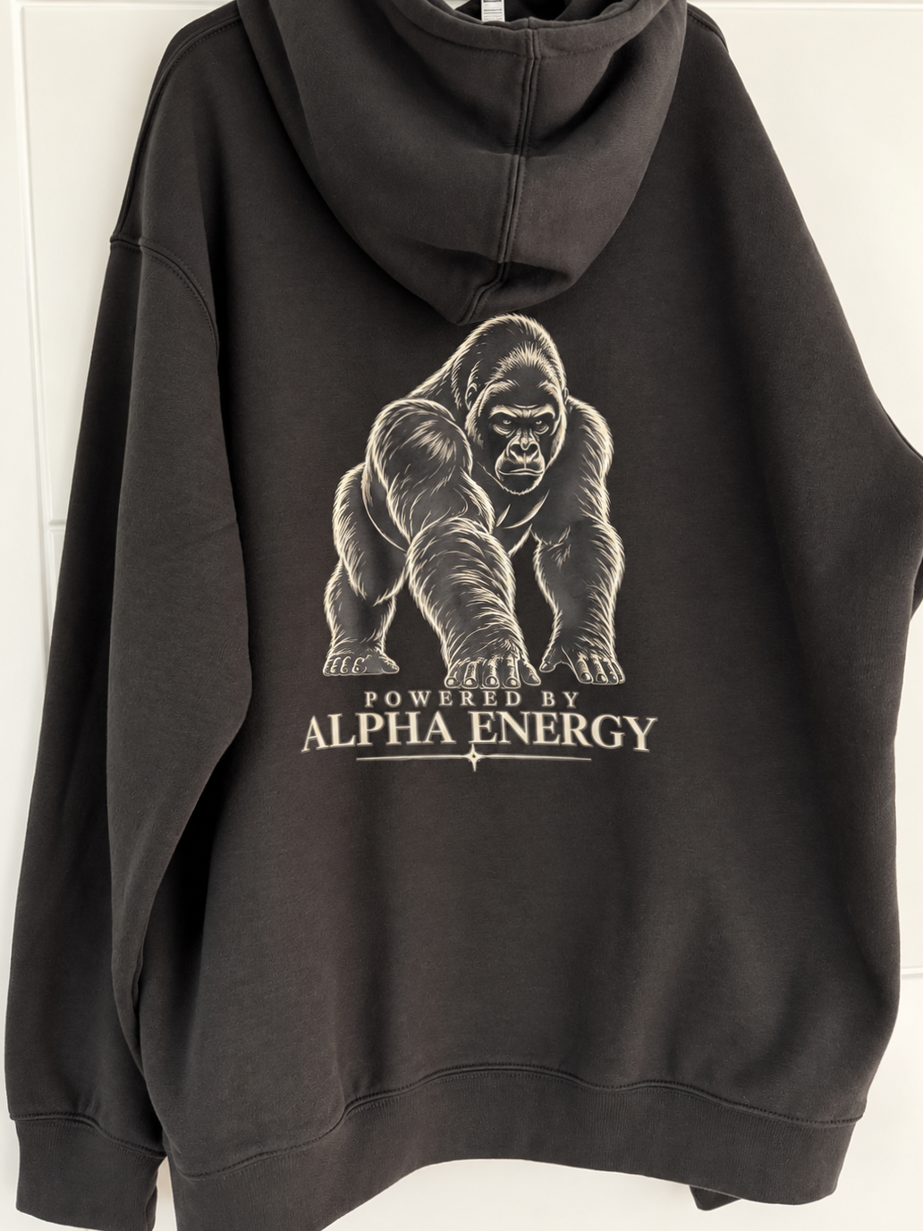 Powered by Alpha Energy Hoodie – Black / Charcoal