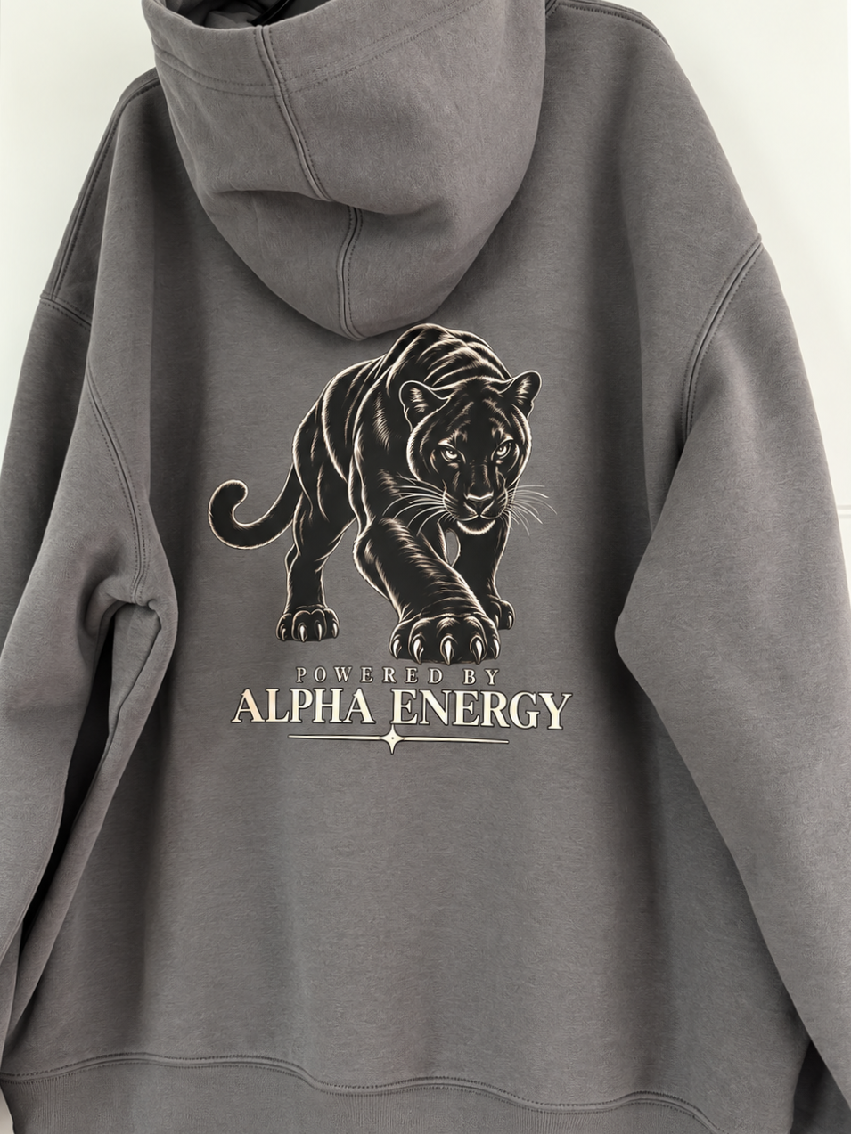 Powered by Alpha Energy Hoodie – Black / Charcoal