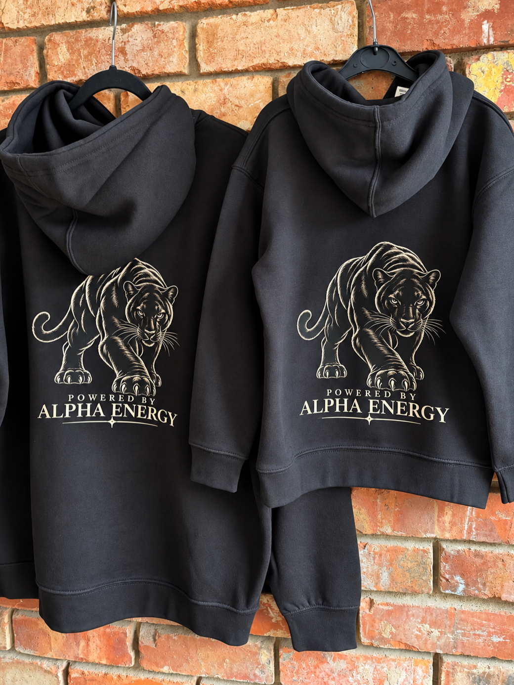Powered by Alpha Energy – Boys Hoodies