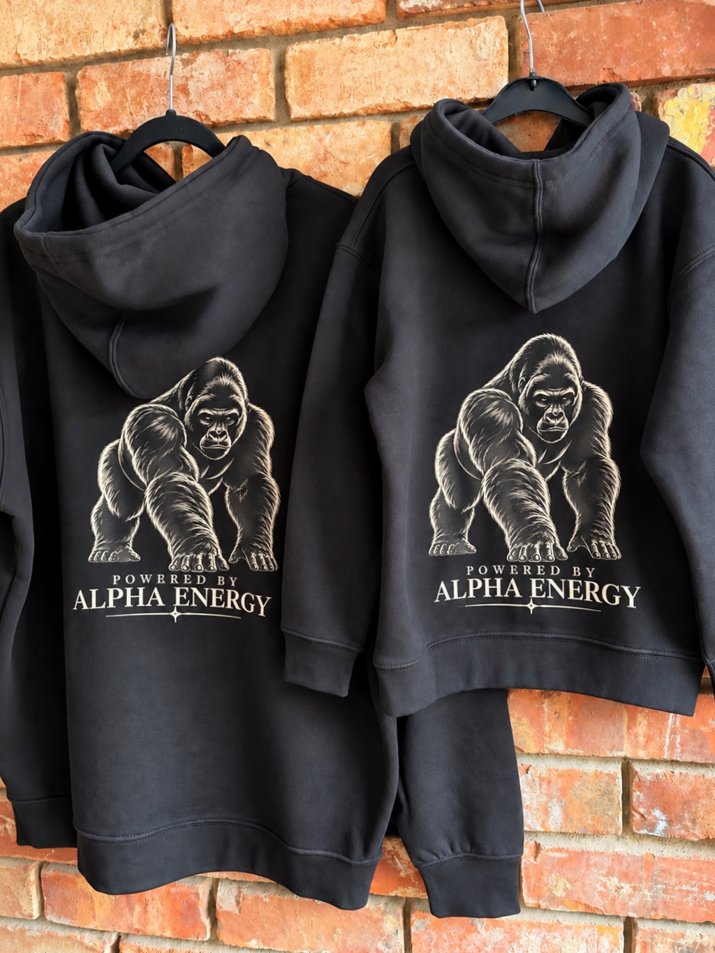 Powered by Alpha Energy – Boys Hoodies